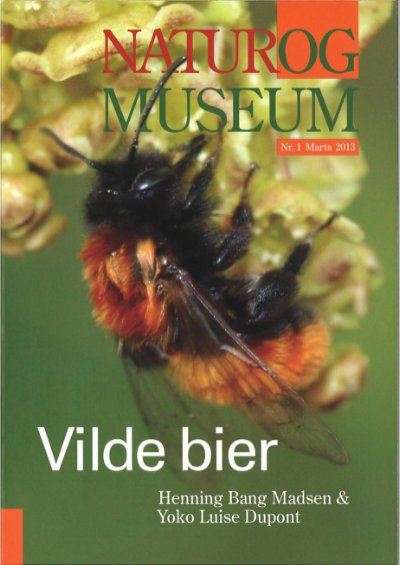 Vilde bier